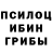 Галлюциногенные грибы мицелий Mariana Arruda