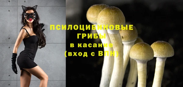 бошки Касимов