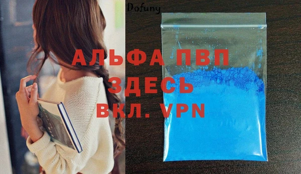 jwh Карпинск