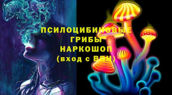 бошки Касимов