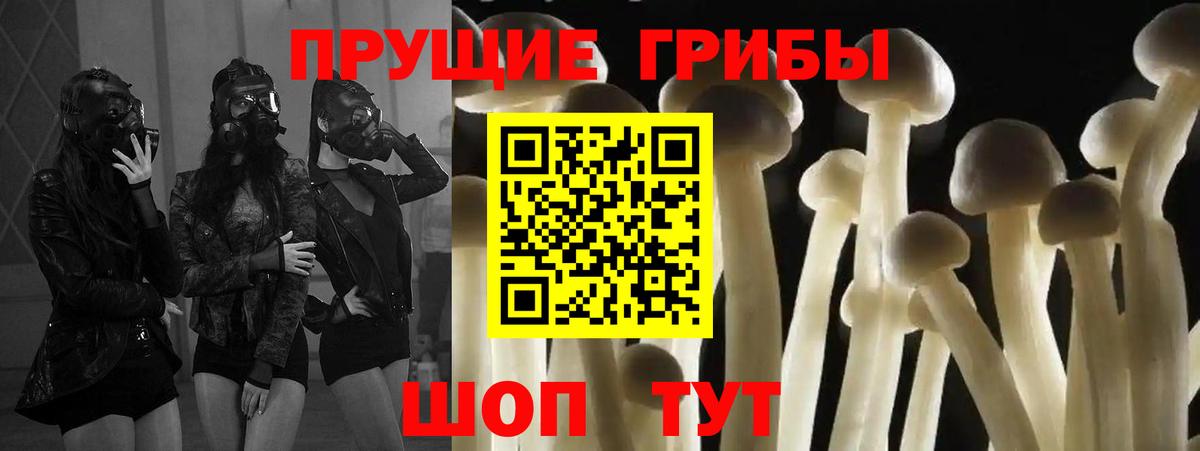 Псилоцибиновые грибы Psilocybine cubensis  Вход с VPN  Кирово-Чепецк  Галлюциногенные грибы ЛСД 